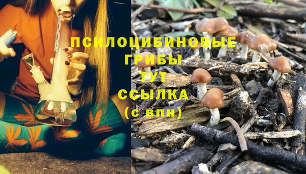 прущие крисы Алексеевка