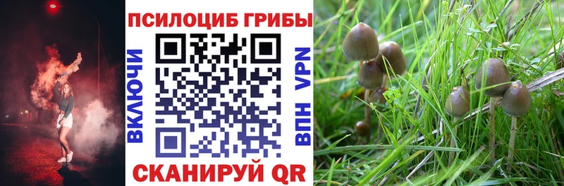 Псилоцибиновые грибы мухоморы  Купить где  Александровское 